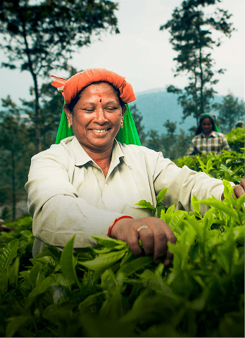 other-bisinesses-card