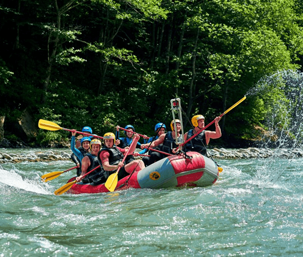 Parry Enterprises India Limited