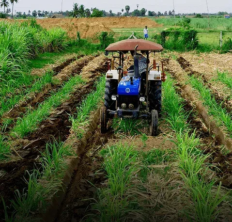 agriculture