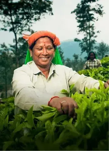 other-bisinesses-card